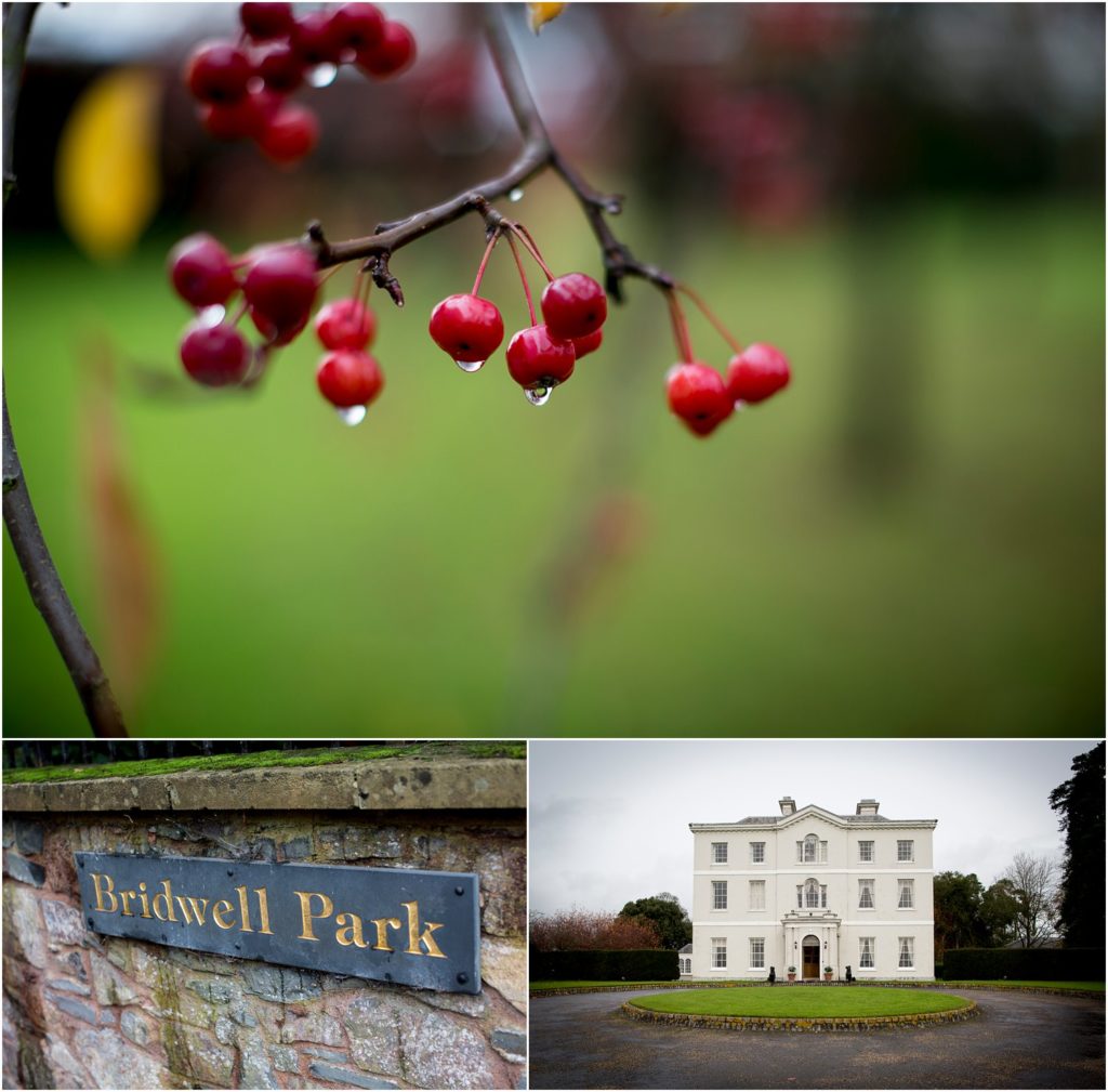 bridwell park devon wedding photographer